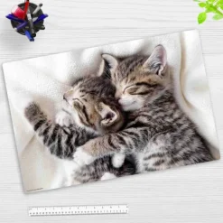 Schreibtischunterlage für Kinder schmusende Kätzchen, aus hochwertigem Vinyl , 60 x 40 cm*Cover-your-desk Hot