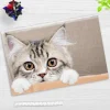 Cover-your-desk Schreibtischunterlagen-Schreibtischunterlage für Kinder und Erwachsene Maine Coon Kätzchen, aus hochwertigem Vinyl , 60 x 40 cm