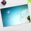 Cover-your-desk Schreibtischunterlagen*Schreibtischunterlage für Kinder und Erwachsene Pusteblume, aus hochwertigem Vinyl , 60 x 40 cm