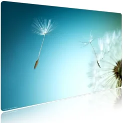 Cover-your-desk Schreibtischunterlagen*Schreibtischunterlage für Kinder und Erwachsene Pusteblume, aus hochwertigem Vinyl , 60 x 40 cm