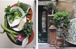 Dorling Kindersley Verlag Vegan*Cucina Vegetariana