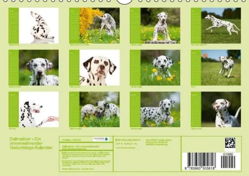 Calvendo Immerwährender Kalender-Dalmatiner - Ein immerwährender Geburtstags-Kalender (Wandkalender immerwährend DIN A4 quer)