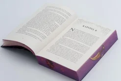 Dance of Stars and Ashes*Knaur Taschenbuch New