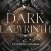 Rowohlt Verlag GmbH Dark Romance-Dark Labyrinth - Gefährliches Verlangen