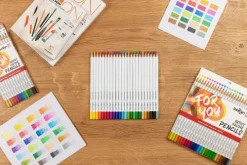 Darwi For You, Schachtel mit 24 Künstlerfarbstiften Standard*Quo Vadis Best