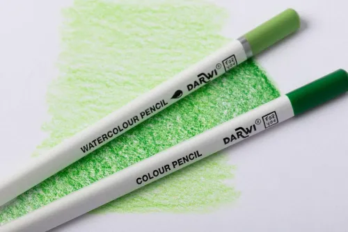 Darwi For You, Schachtel mit 24 Künstlerfarbstiften Standard*Quo Vadis Best