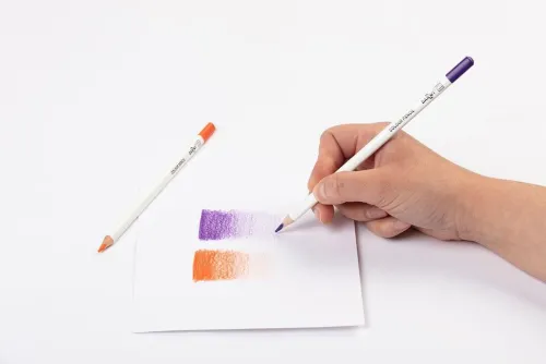 Darwi For You, Schachtel mit 24 Künstlerfarbstiften Standard*Quo Vadis Best