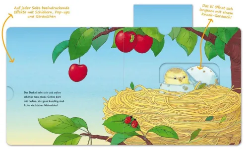 FISCHER Sauerländer Nachhaltigkeit*Das Eiwunder