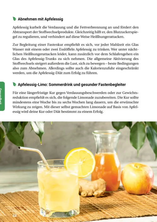 smarticular Verlag Nachhaltigkeit-Das Essig-Handbuch