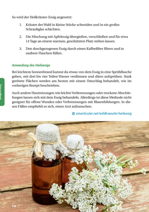 smarticular Verlag Nachhaltigkeit-Das Essig-Handbuch