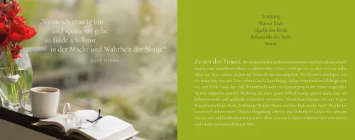 Herder Verlag GmbH Trauer*Das Funkeln der Sterne