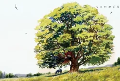 Das geheime Leben der Bäume*Ludwig Verlag Discount