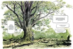 Das geheime Leben der Bäume*Ludwig Verlag Discount