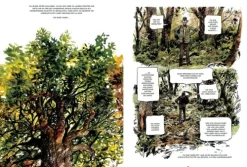 Das geheime Leben der Bäume*Ludwig Verlag Discount