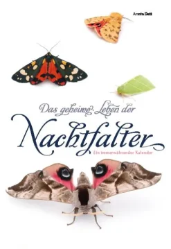Das geheime Leben der Nachtfalter*Stadler Kalender Outlet