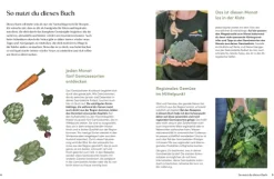 Dorling Kindersley Verlag Vollwertküche*Das Gemüsekisten-Kochbuch