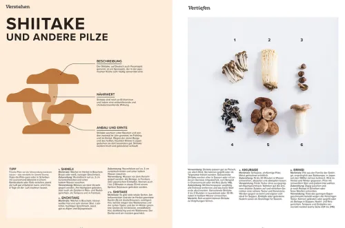 Knesebeck Von Dem GmbH Vollwertküche|Kochbücher Nach Ländern*Das große Handbuch der japanischen Küche