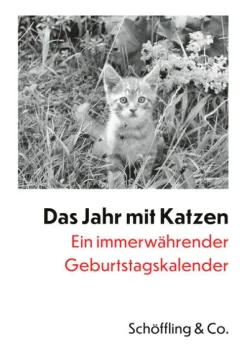 Das Jahr mit Katzen*Schoeffling + Co. Hot
