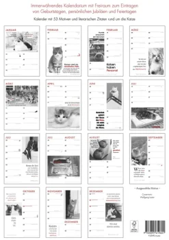 Das Jahr mit Katzen*Schoeffling + Co. Hot