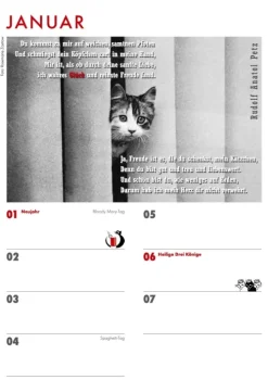 Das Jahr mit Katzen*Schoeffling + Co. Hot