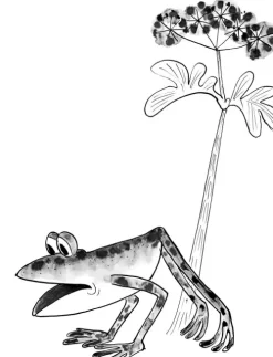 Kinder Jungbrunnen Verlag 3-6 Jahre-Das kleine Ich bin ich