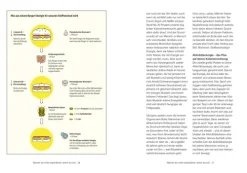 ZS Verlag Ratgeber|Gesundheit*Das Kuchen-Paradox