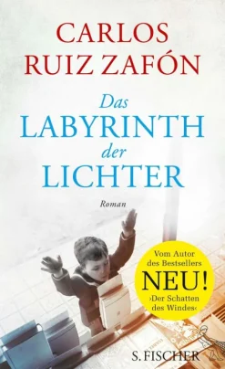 FISCHER E-Books Fernweh-Romane|Politthriller*Das Labyrinth der Lichter