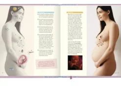 Coppenrath Geburt & Taufe*Das Mami Buch