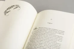 Das Mädchen und der Winterkönig*Heyne Taschenbuch Clearance