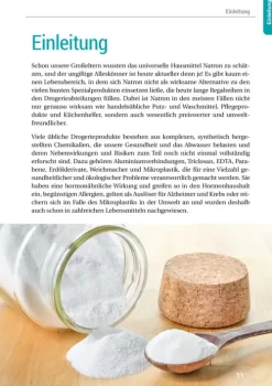 Das Natron-Handbuch*smarticular Verlag Hot