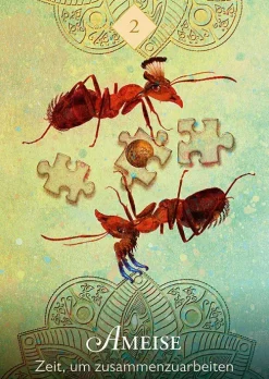 Knaur MensSana HC Spiritualität-Das Orakel der Krafttiere