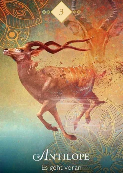 Knaur MensSana HC Spiritualität-Das Orakel der Krafttiere