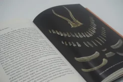 Das Rätsel der Schamanin*Rowohlt Verlag GmbH Hot