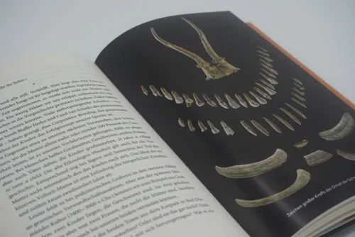 Das Rätsel der Schamanin*Rowohlt Verlag GmbH Hot