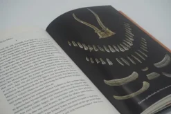 Das Rätsel der Schamanin*Rowohlt Verlag GmbH Hot