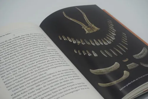 Das Rätsel der Schamanin*Rowohlt Verlag GmbH Hot