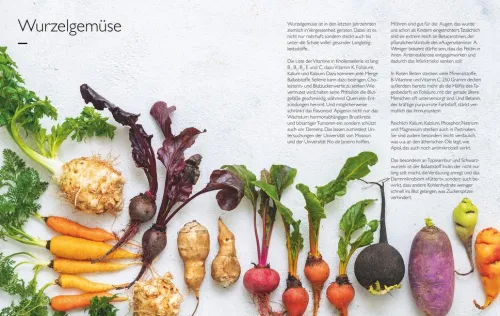 Graefe und Unzer Verlag Vegetarisch-Das Verjüngungs-Kochbuch