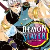 Demon Slayer 9*Manga Cult Outlet