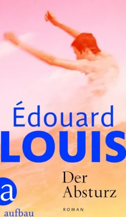 Aufbau Digital Romanhafte Biografien-Der Absturz