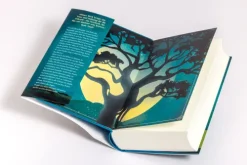 Limes Verlag Asian Fantasy*Der Baum der verborgenen Erinnerungen