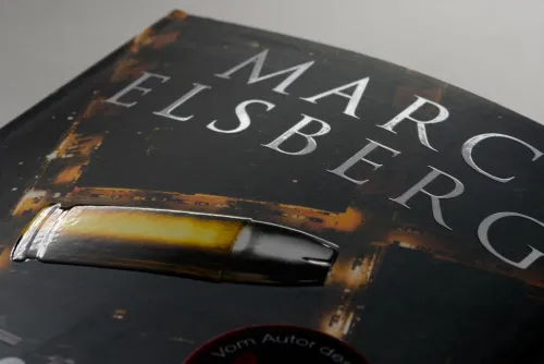 Blanvalet Taschenbuchverl Politthriller*Der Fall des Präsidenten