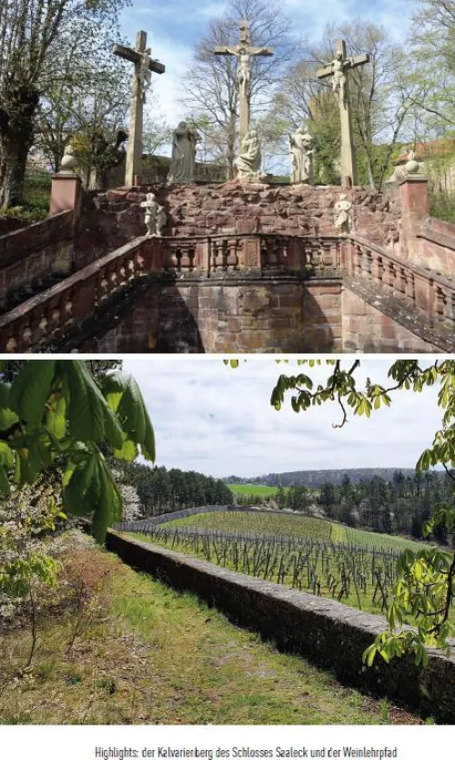 Ars Vivendi Wandern & Radfahren-Der große Ausflugs-Verführer Weinfranken