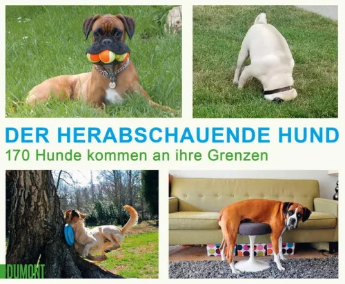 DuMont Buchverlag GmbH Nach Zielgruppen*Der herabschauende Hund