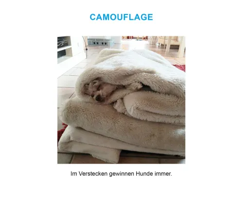 DuMont Buchverlag GmbH Nach Zielgruppen*Der herabschauende Hund