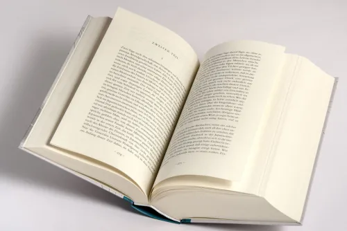 Anaconda Verlag Klassiker*Der Idiot