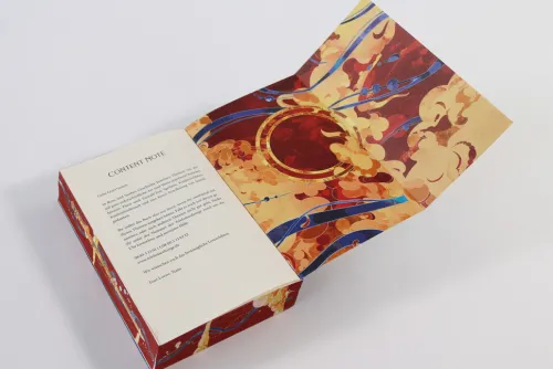 Der Junge aus dem Reich der Schatten (Floating World-Dilogie, Band 2)*Loewe Verlag GmbH Hot