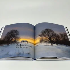 List Paul Verlag Lebensfreude-Der Junge, der Maulwurf, der Fuchs und das Pferd. Eine bewegte Geschichte