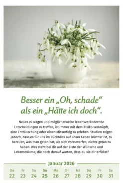 PAL Wandkalender*Der Lebensfreude-Kalender 2026