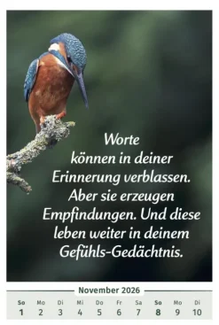 PAL Wandkalender*Der Lebensfreude-Kalender 2026