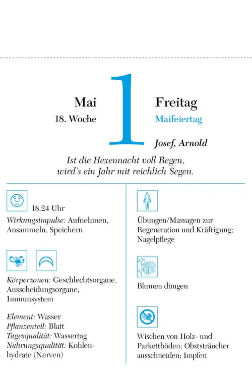 Der richtige Zeitpunkt 2026 - Tagesabreißkalender zum Aufstellen oder Aufhängen*Südwest Outlet